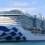 Alerta sanitaria internacional por brote masivo de norovirus en un crucero de Florida